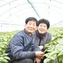 이옥희농장 네이버블로그