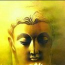 정답은꽃 이미지