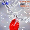 조선 숙종때의 일입니다 이미지