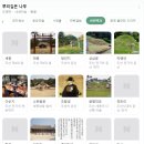 숨 막히는 긴장감의 역사 드라마, &#39;뿌리깊은 나무&#39; 후기 🎥