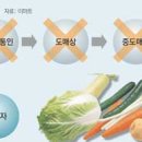 포천로컬푸드법인