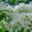 남대천제방길 이미지