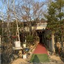 장가네더덕밥 | 춘천 한정식 춘천 맛집 장학리 장가네더덕밥 명품상 후기