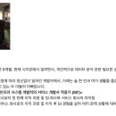 SI 개발자의 ‘험난하지만 즐거운’ 스타트업 적응기