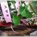 대구굿모닝병원 이미지