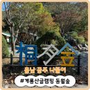 [충남 공주 나들이] 무한리필 바비큐를 즐길 수 있는 공주 글램핑장! &#39;계룡산글램핑 동월숲&#39;