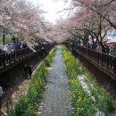 하나화원 - 예산군 역전로 109-32 | 하나화원