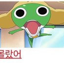 글라라의집 | 삐삐, 다시 태어나다