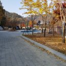강변사리 이미지