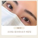 모모엘 | 배곧 속눈썹펌 잘하는 곳, 모모엘스칼프앤브로우 배곧점 대만족 후기