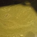 대지영농조합법인 이미지