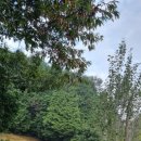 영학(학동)마을회관 이미지