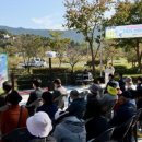 보령시립노인전문병원 | [충청대세뉴스] 기억을 찾아 함께 걸어요! 보령시, 한마음 치매 극복 걷기 행사 성료