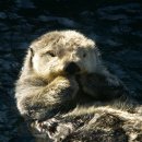 계절밥상영등포홈플러스점 이미지