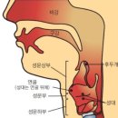 에이레네실용음악학원 이미지