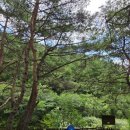 엄둔솔밭빌리지 이미지