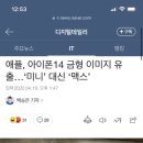 애플, 아이폰14 금형 이미지 유출…‘미니’ 대신 ‘맥스’ 이미지