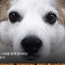 자양동물병원 이미지