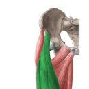 짐워너비 이미지