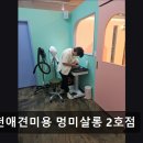 부천애견미용 멍미살롱2호점 이미지