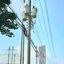 옛골흑염소 이미지