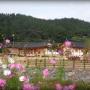 장승길 Daum카페