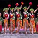 세이브투어 이미지