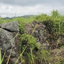 서아목장 이미지