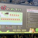 하비비캠핑장 이미지
