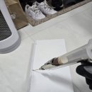 베스트방역 - 무안군 | 동작구/상도동 원룸, 돈벌레는 익충? 징그러우면 해충입니다! 유입로 차단 100% 후기 (벌레자비 해충방역)