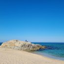 안성맞춤랜드공원16 이미지