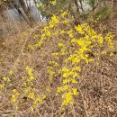 옥경세탁 이미지