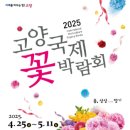 6시내고양이 이미지