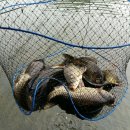 북동낚시터 이미지