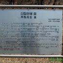 신점선생묘 이미지