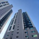 태왕아너스월성아파트 | 월성태왕아너스 아파트 부분도배 | 정직과 신의로 마감한 믿음의 시공