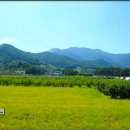 남양1리 이미지