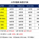 스카이차 사용 네이버블로그