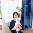 장소영머리사랑
