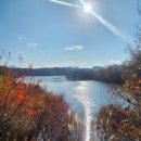 청풍호 감 이미지