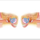 착한보청기부산지사 이미지
