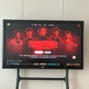 스위트리아 | 11월 기록, 단풍놀이🍁 + 제철 음식 가득 챙겨 먹는 일상