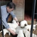 참편안의원 이미지