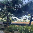 지브릭커피 - 의왕시 봇들2길 24 | [김포 지브릭커피 방문기] 한적하고 여유로운 애견동반 카페