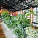 그린보드 이미지