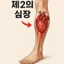 step 복싱 이미지