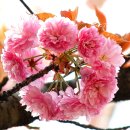 사랑의손 - 창원시 마산합포구 | 사랑의손