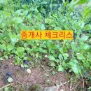 롯데최고공인중개사사무소 | 중개사 체크리스트 !