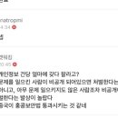 캣워킹[허위사실게재][탈주]eCP6pZlMCAQ0 이미지