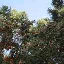 천혜농장 이미지